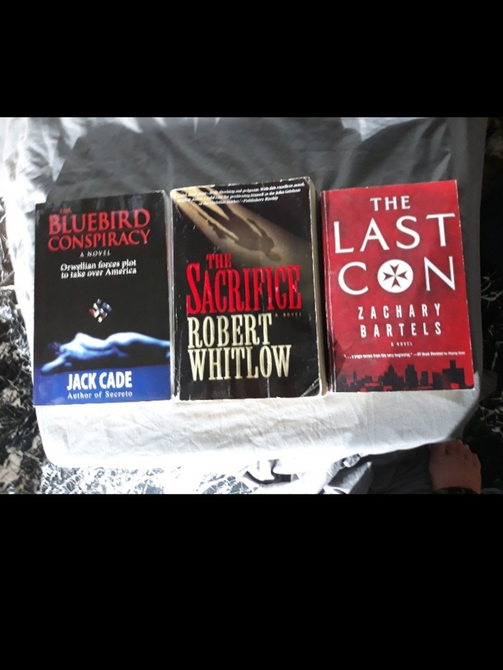 Lot Of 3 PAPERBACK BOOKS
